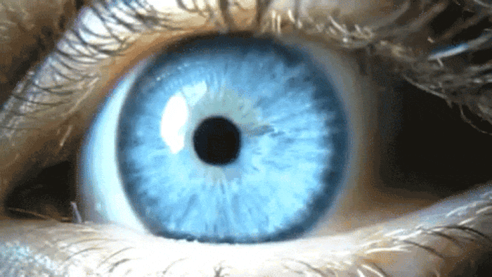 GIF-20250826-144305-423.gif