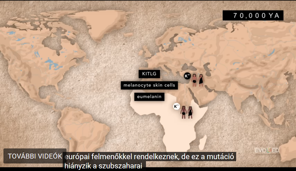 08-D-Genetika.jpg