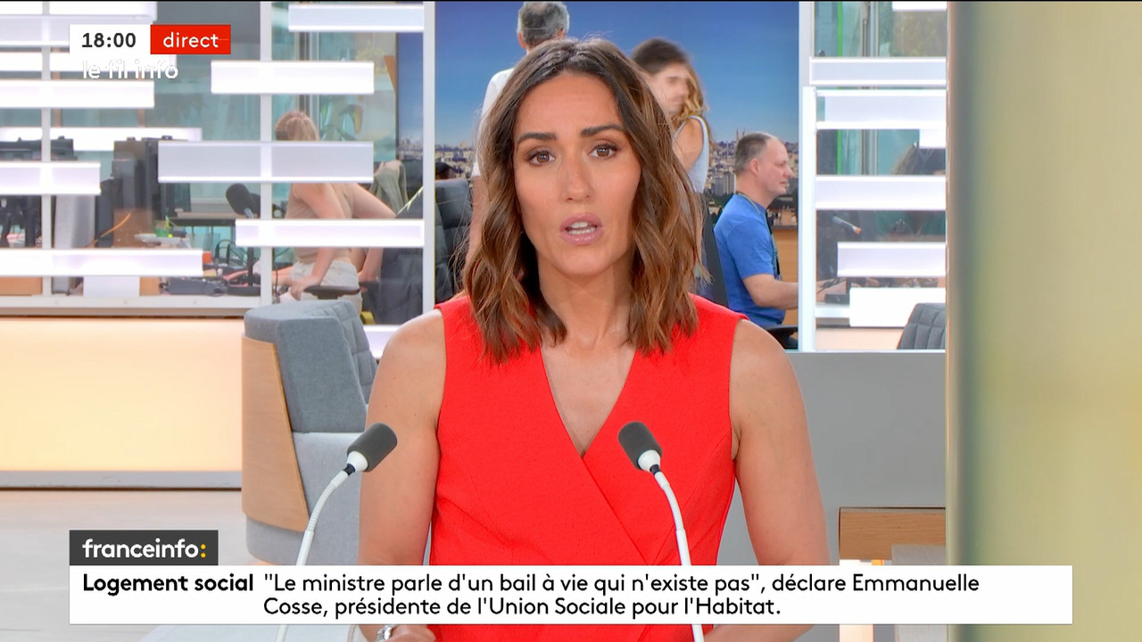 Le fil info (Franceinfo)_2024_04_12_15_54_61.ts_snapshot_01.06.39.479