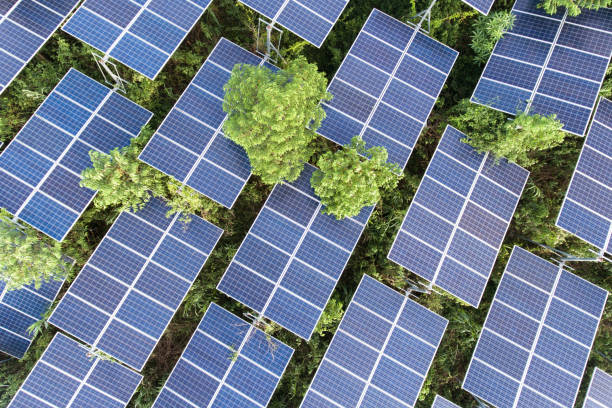 fornitori fotovoltaico