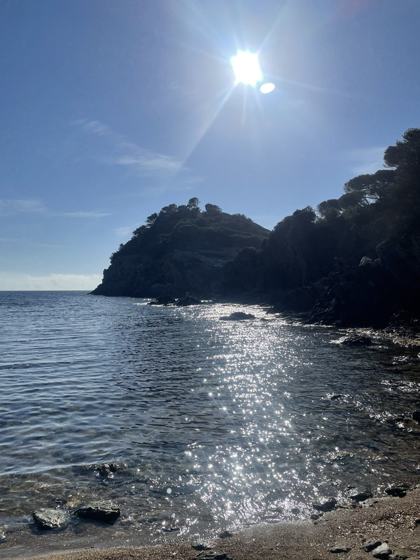 3ACE61BF-0AB0-4647-998B-8E40FC0D31B7