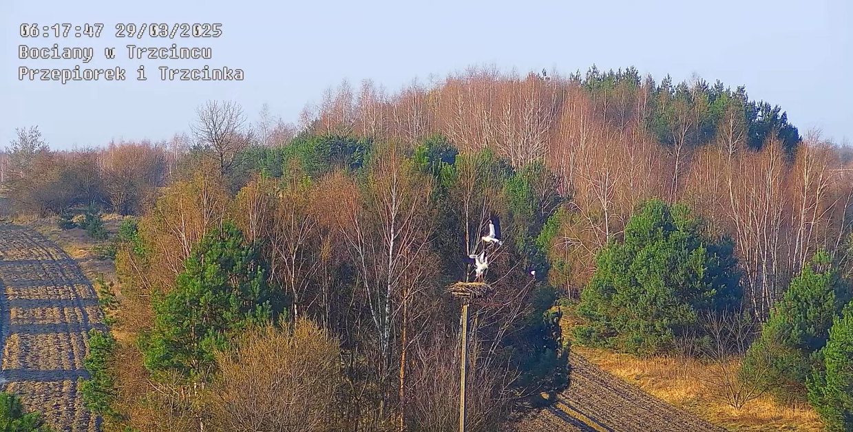 29032025bliskiespotkanie