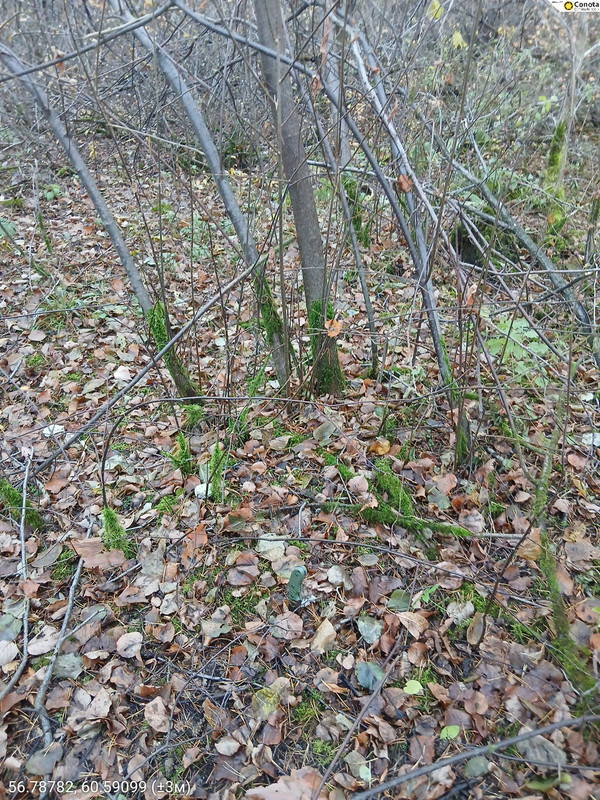 56.78782, 60.59099 (±3м)_20102025_161359