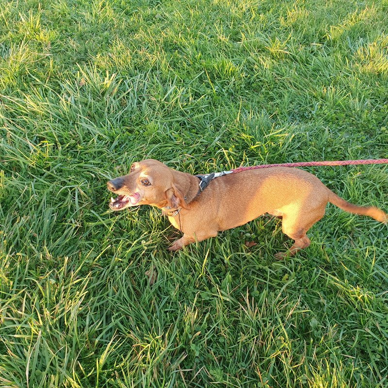 [Image: 20211118-164240.jpg]