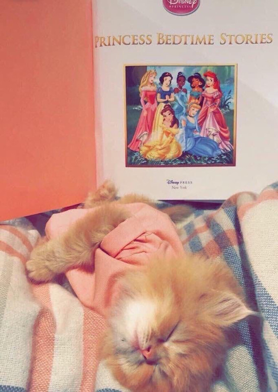 1EF67B7D-CF1D-473E-941C-3A7A31952C2D