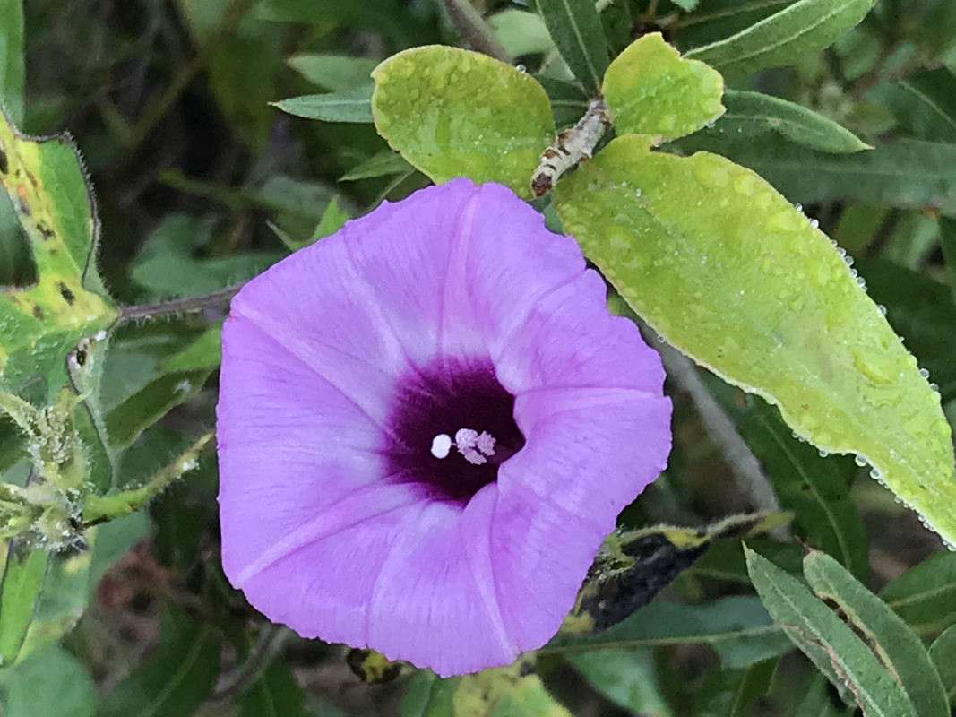 670CE192-0F4E-4793-9B94-14D4B5B1584A