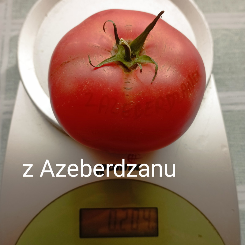 Obrazek