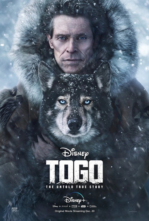 Togo (2019) MULTi.2160p.HDR.DSN.WEBRip.x265.DD.5.1.Atmos-fHD / POLSKI DUBBING i NAPISY