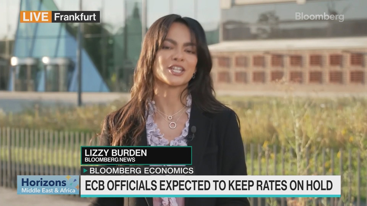Watch Horizons Middle East & Africa 07182024 - Bloomberg.mp4_snapshot_37.22.240