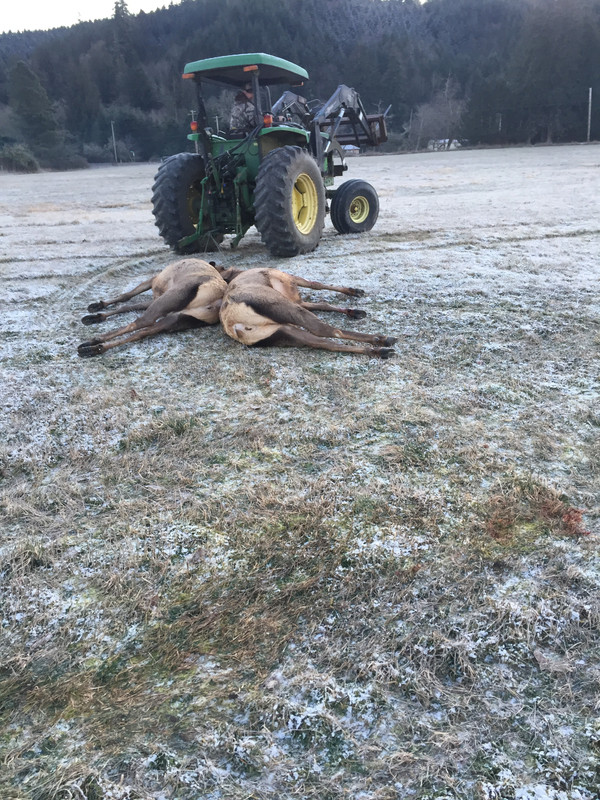 3556BB22-AF1E-4FDD-A2B2-422A62F405BC