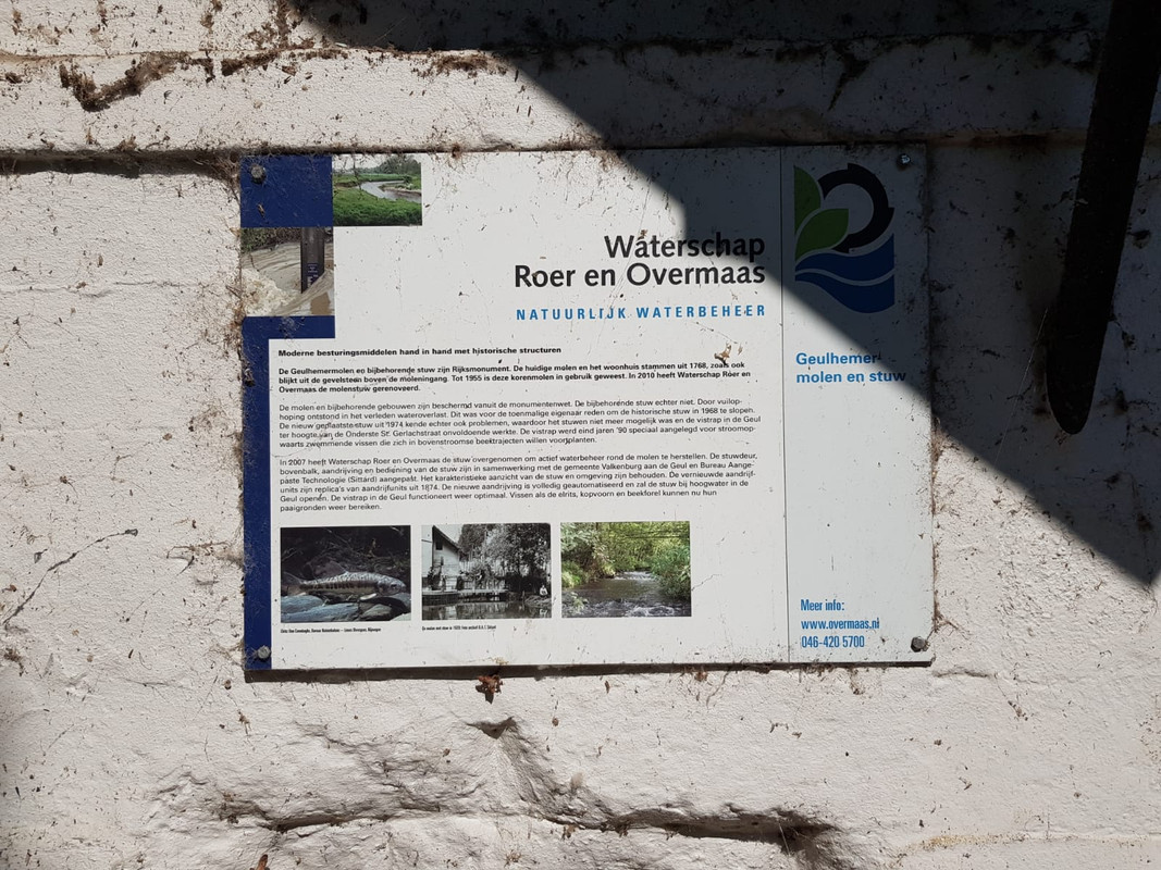 Pieter, Geulhemmer Molen 07 Terblijt 20-07-2018