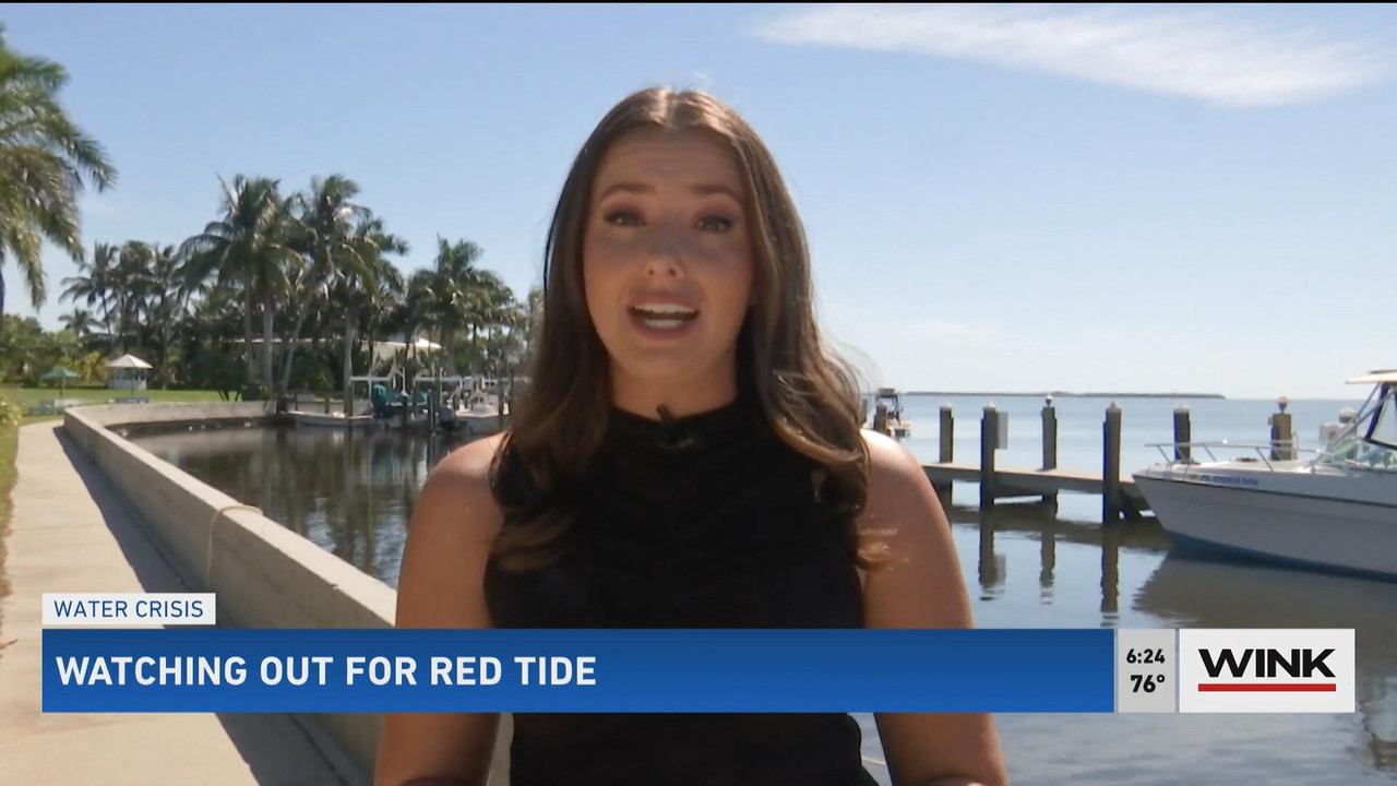 10.24 - 11.00.00 - WINK News @ 6 00AM Sunday. Local news, sports and ....ts_snapshot_00.27.59_[2021.