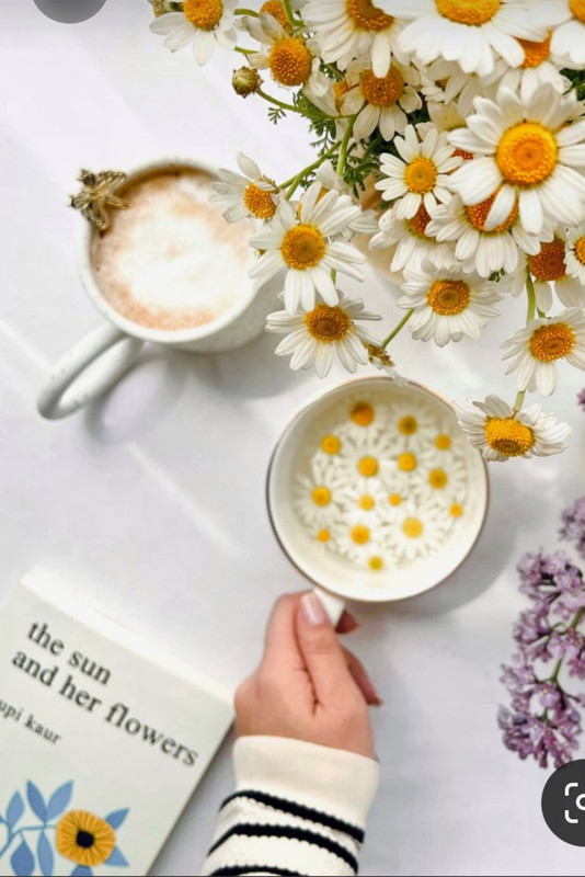 Screenshot_20230322_230131_Pinterest