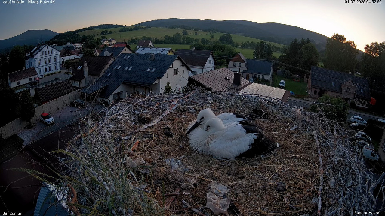 Tiešraides kamera — Mladé Buky — stārķa ligzda 4K 9-31-14 screenshot