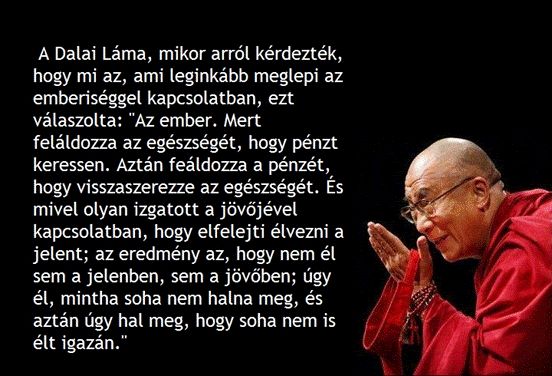 https://i.postimg.cc/s2DC4x7Q/a-dalai-lama.jpg