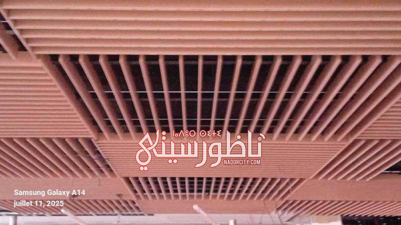 515602900-1511414583628574-2964477062965280889-n
