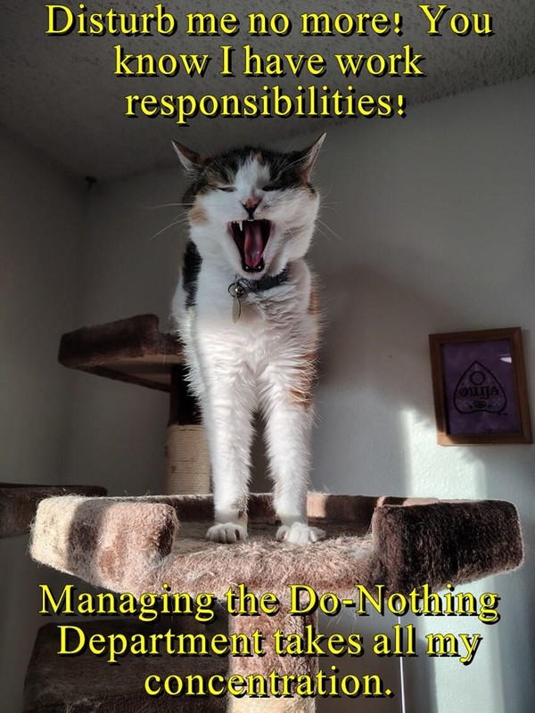 disturb me no more