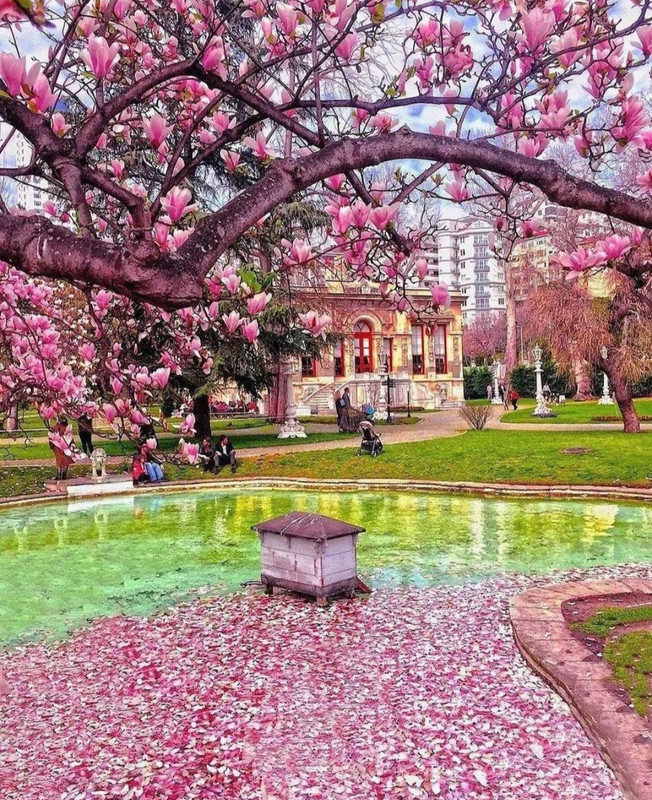 Screenshot_20240420_214524_Threads