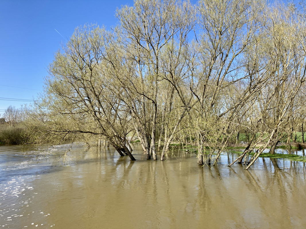 2C2E3009-BB8F-4EBB-981F-BC94B8AC2B56