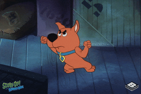 giphy-downsized-large-2.gif