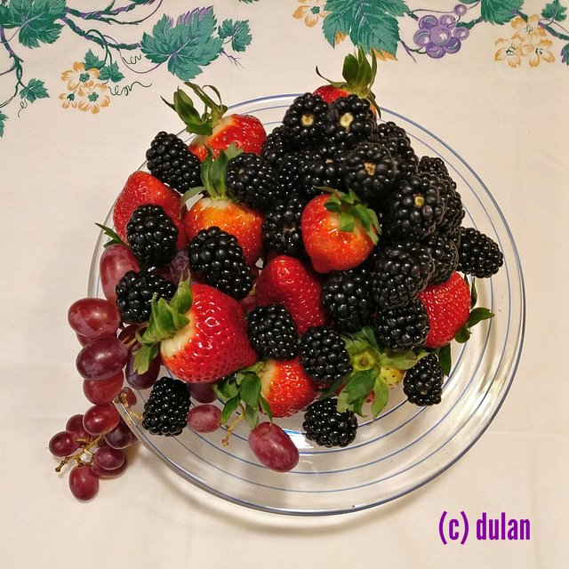 [Image: IMG-20240331-023833.jpg]