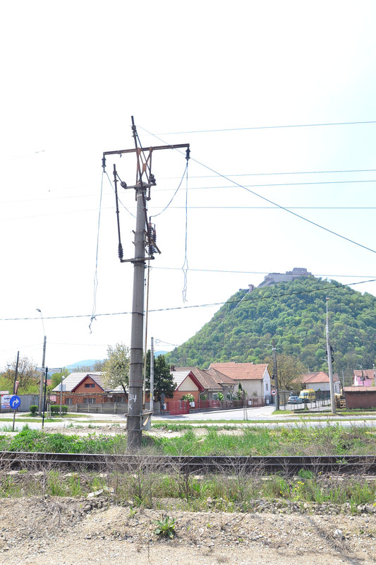 DSC_0008