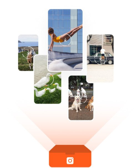 4K Stogram Professional 4.2.1.4000 Multilingual