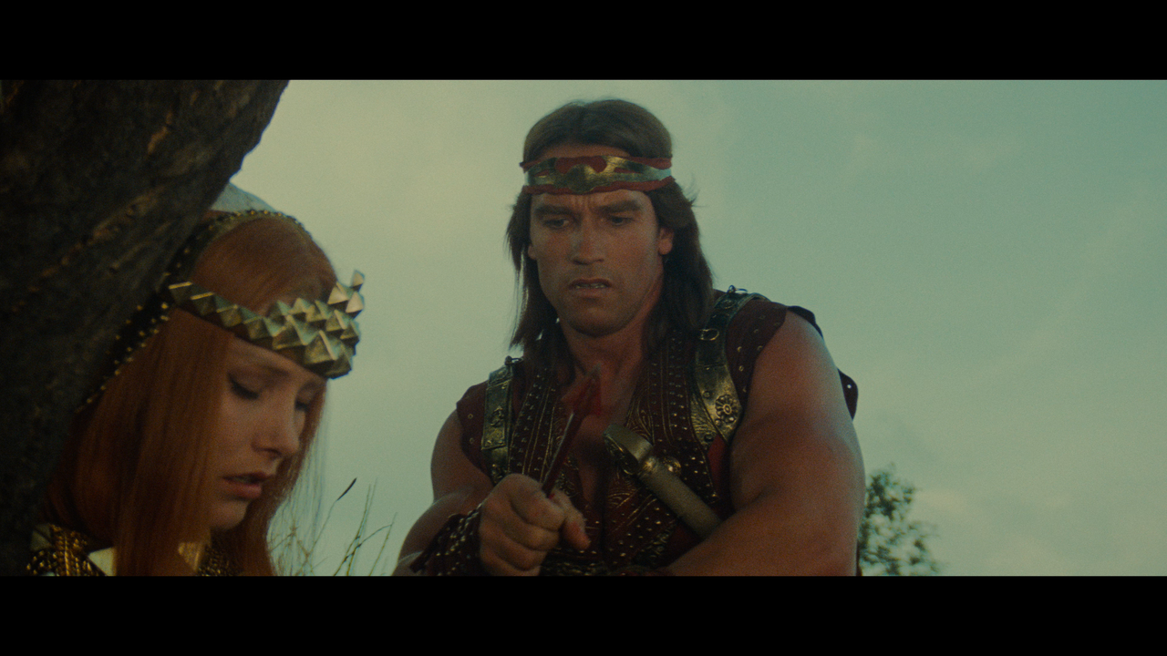 Red.Sonja.1985.BDRemux.UHD.2160p.HDR.DV7-Нечипорук.mkv_snapshot_00.15.03.000