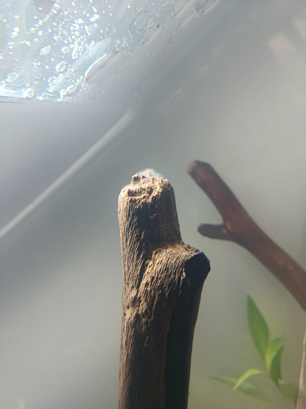 17746083996733333032794660526109