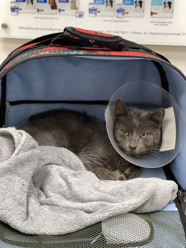 5BBFD211-D7F4-4301-8554-52F173E5AF08