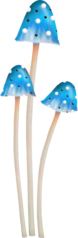 Alice In Wonderland (145)