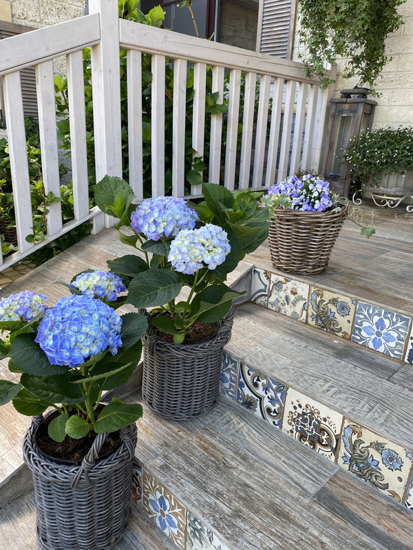 AA0CDA45-2B9D-4C86-BE60-A5FB6EED3192