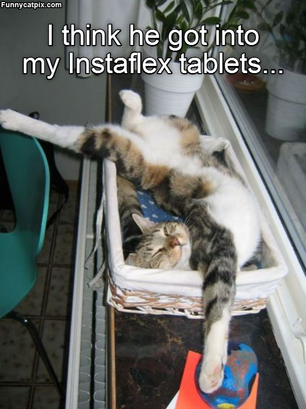 instaflex