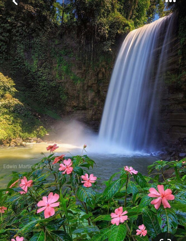 Screenshot_20240512_183056_Pinterest