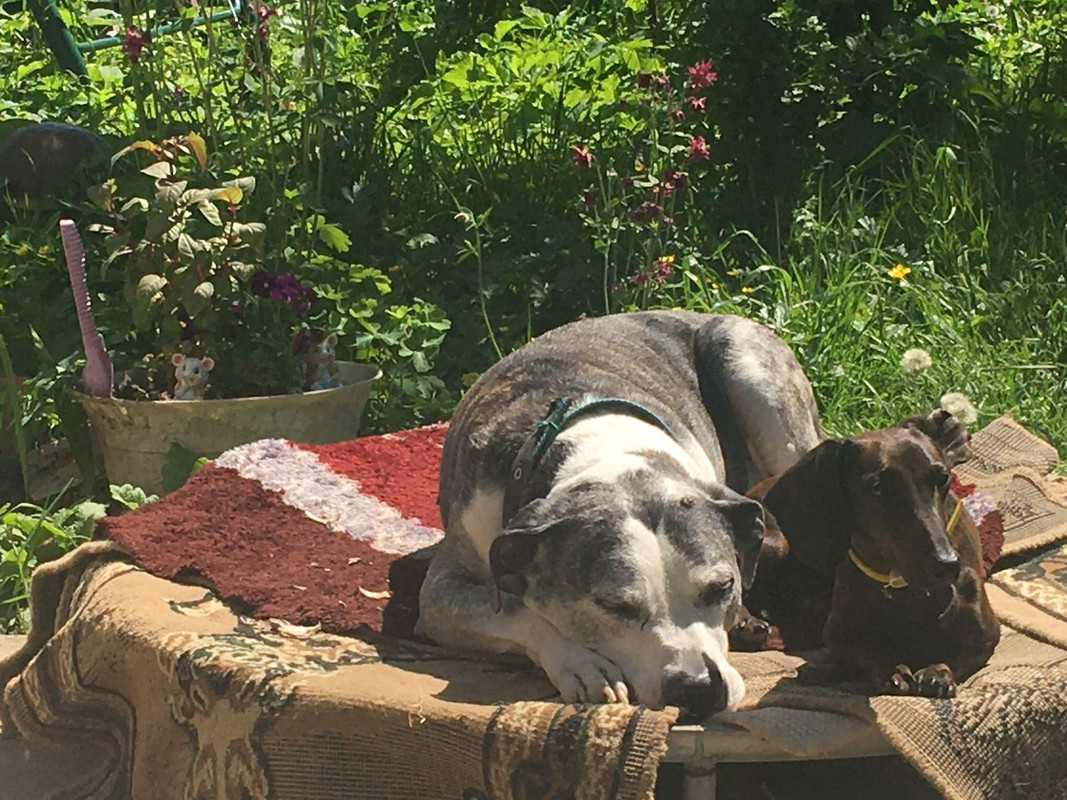 09290D35-D26B-4FAB-9945-206BAC2E2FE0