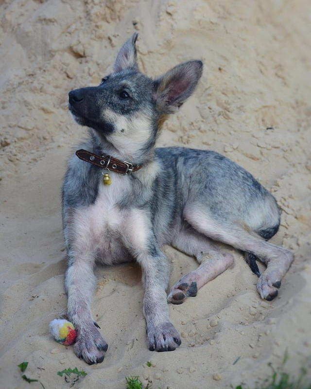 IMG_20190828_200452_927