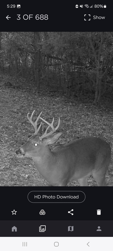 Screenshot_20241221_172937