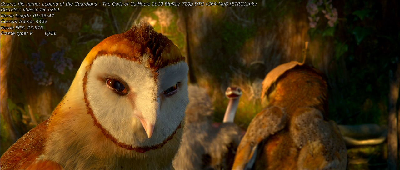 Legend of the Guardians - The Owls of Ga'Hoole 2010 Screen 03