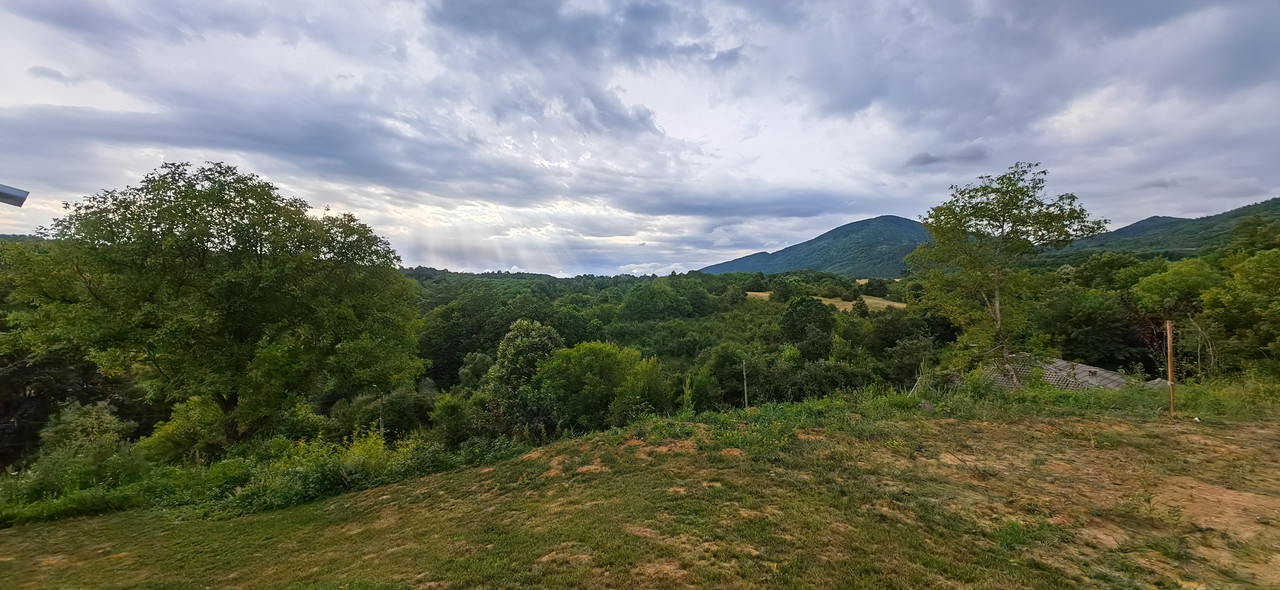 IMG_20230727_083803