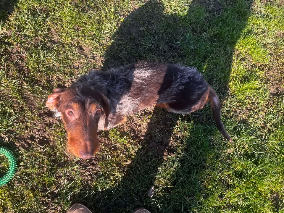 [Image: ULTRA-CHOCOLAT.jpg]