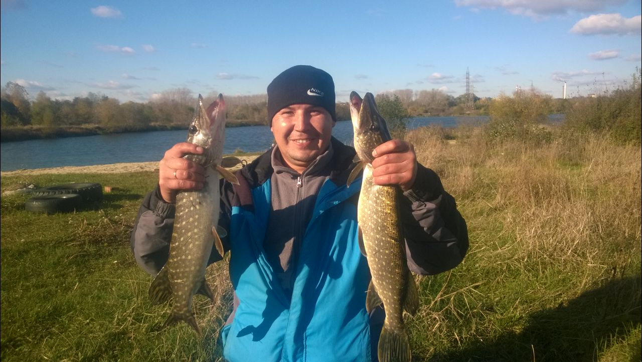 image-0-02-05-7b8d01035aa576104997be9ed7c78474c2