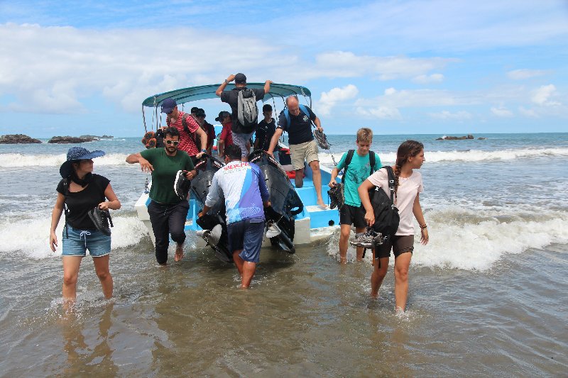 DIA 13: EXCURSIÓN DE UN DÍA A CORCOVADO - DE TORTUGAS Y PEREZOSOS. COSTA RICA 2019 (20)