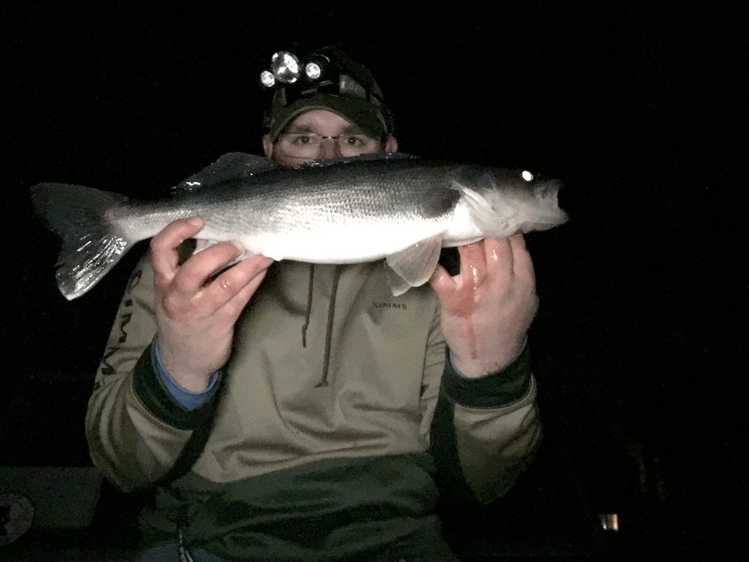 D788B55A-CDFA-4F19-9536-4D92BCEE14F7