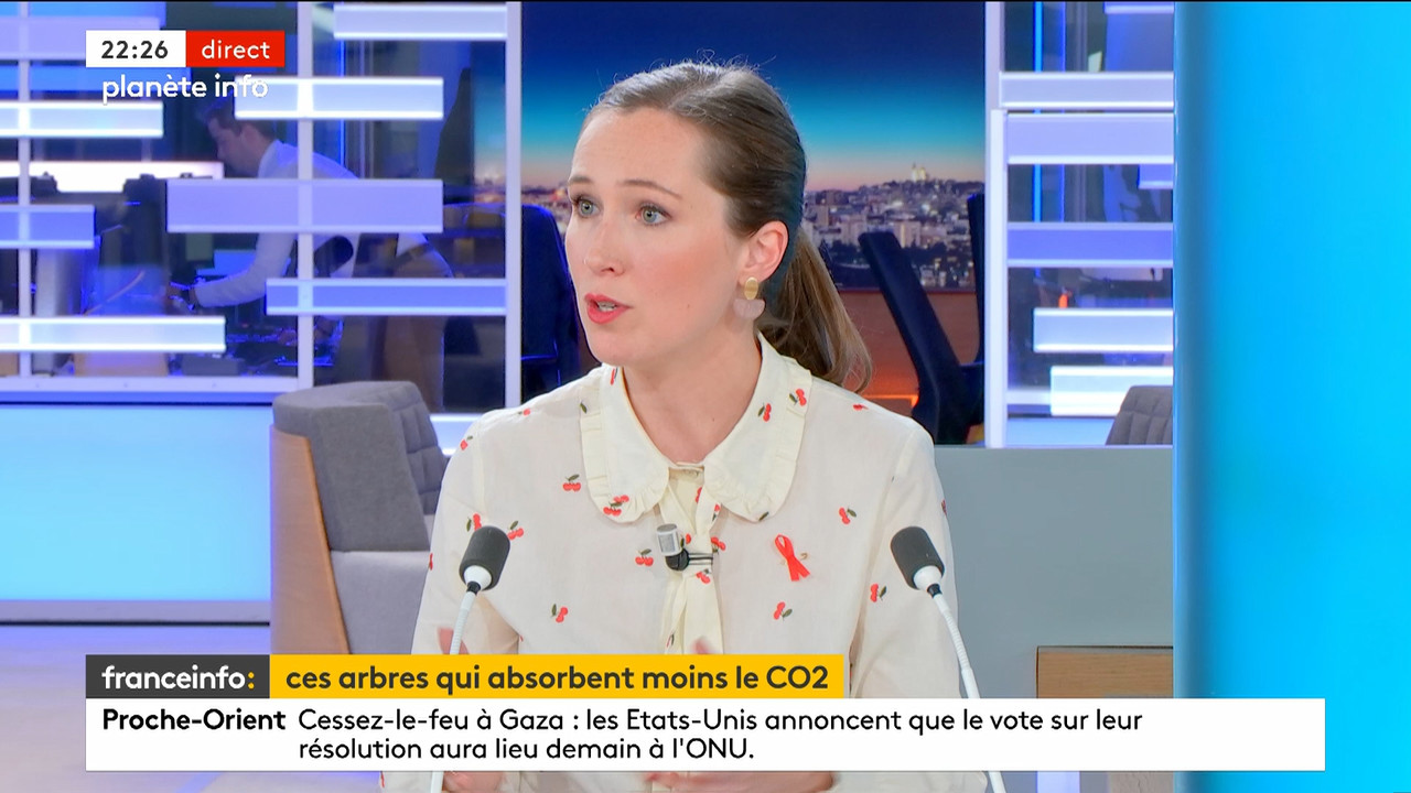Planète info (Franceinfo)_2024_03_21_20_53_27.ts_snapshot_00.34.19.711