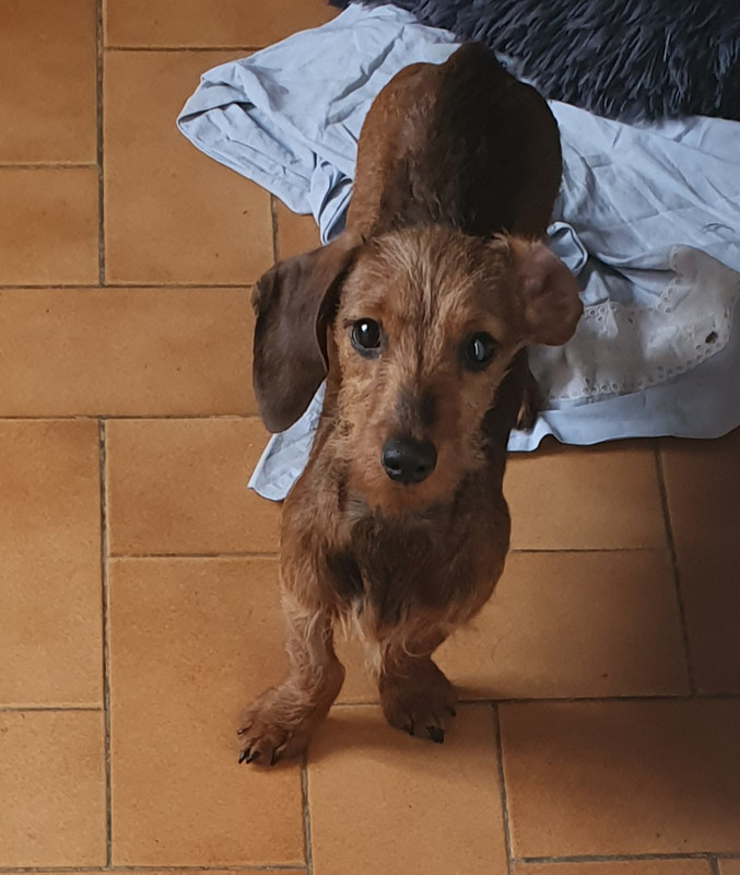 [Image: 20210212-203521.jpg]