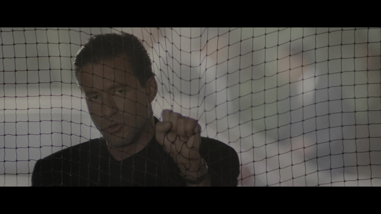 vlcsnap 2026 02 22 21h13m40s827