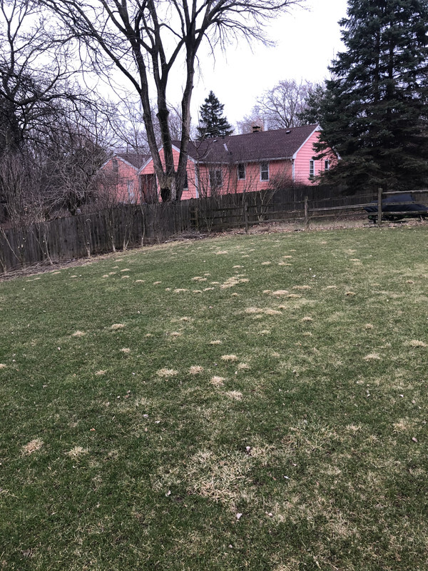 0BF46881-58CC-4F9C-97F5-D72FD56B9E15