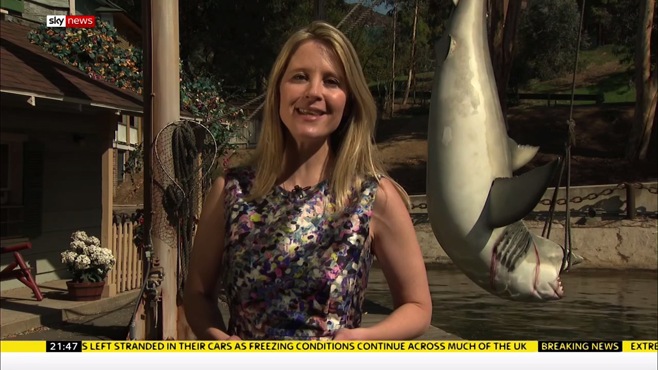 Sky News at 9_20180302_21302200.ts_snapshot_18.57_[2018.03.02_22