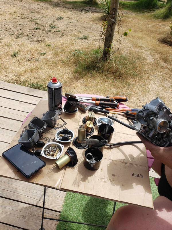 16 aout Marsillargues Carbu et Vachette (43)