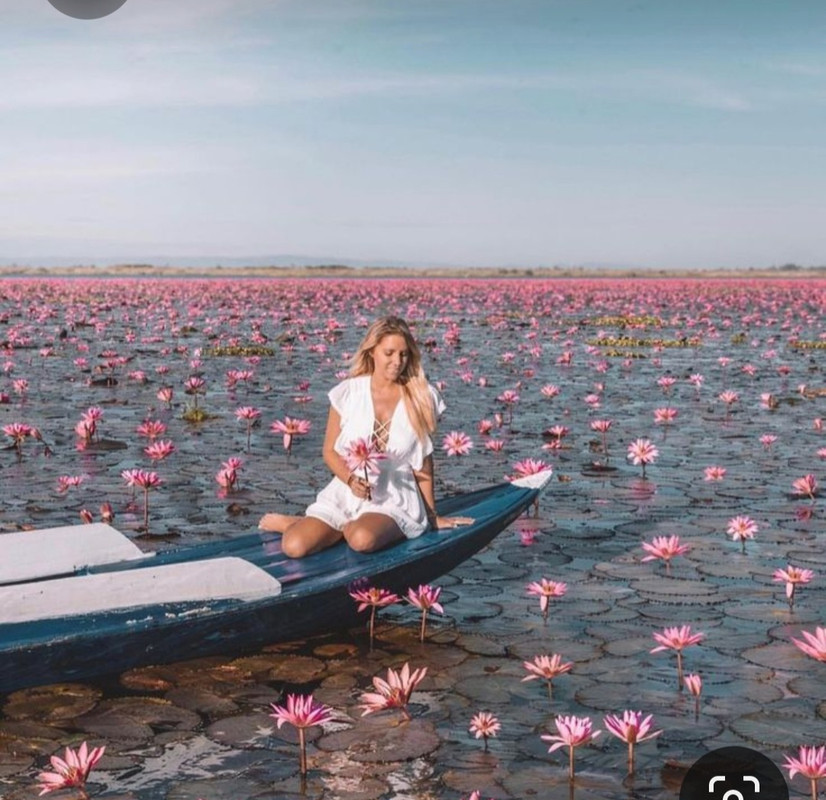 Screenshot_20230527_230221_Pinterest